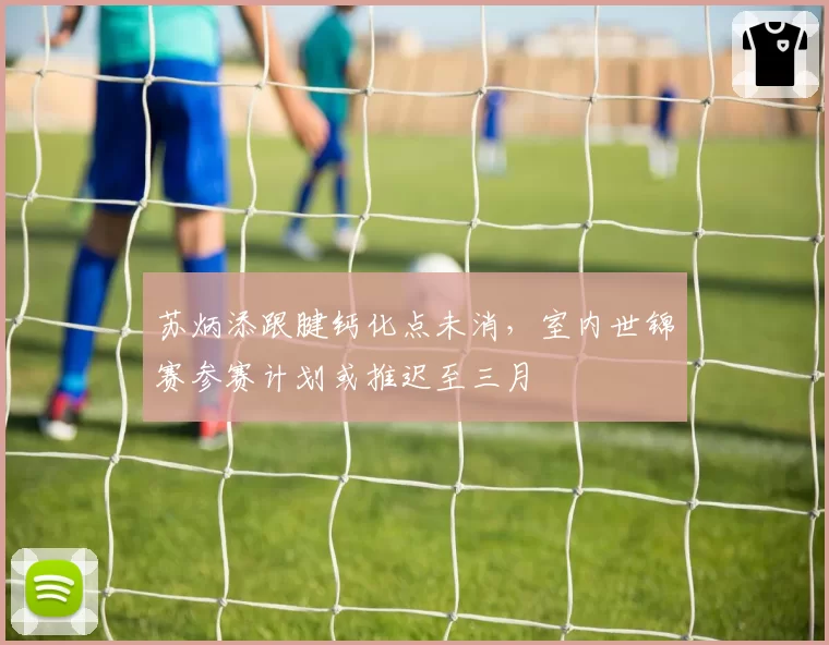 苏炳添跟腱钙化点未消，室内世锦赛参赛计划或推迟至三月