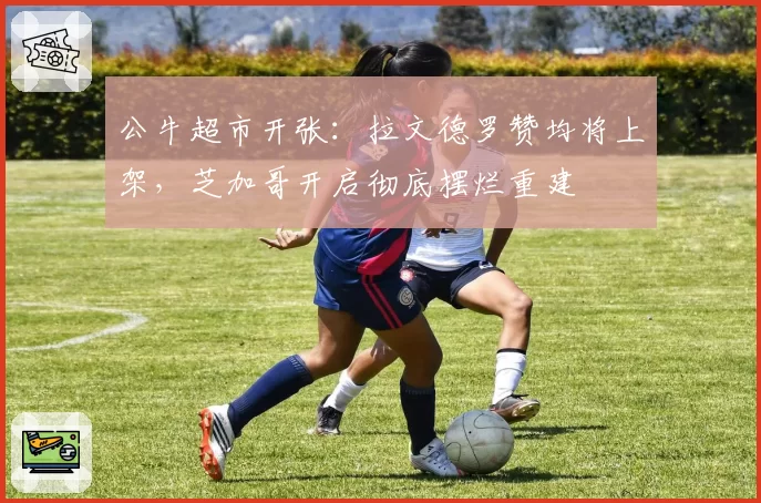 公牛超市开张:拉文德罗赞均将上架,芝加哥开启彻底摆烂重建